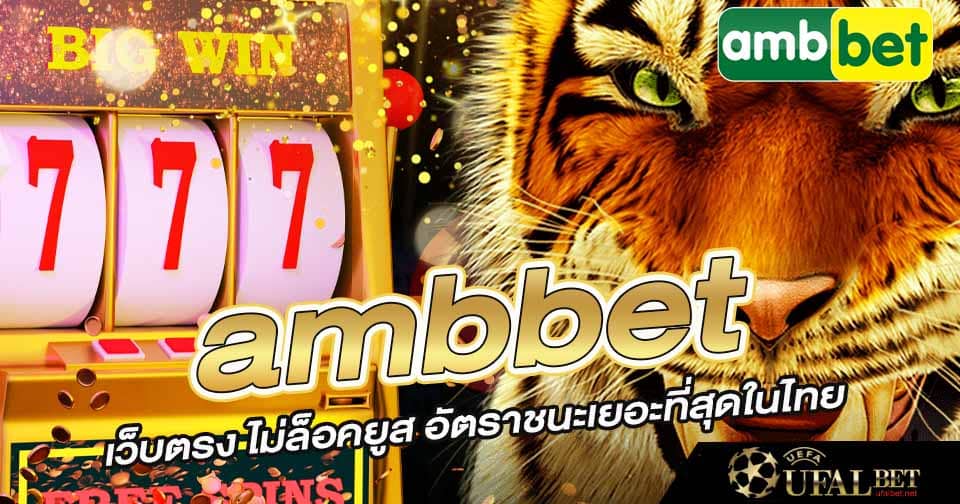 เว็บตรง ambbet 